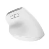 Rato Trust Bayo+ escritório destro RF Wireless + Bluetooth ótico 2400 DPI