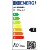 Ansmann FL100W-AC foco de trabalho com fio 100 W