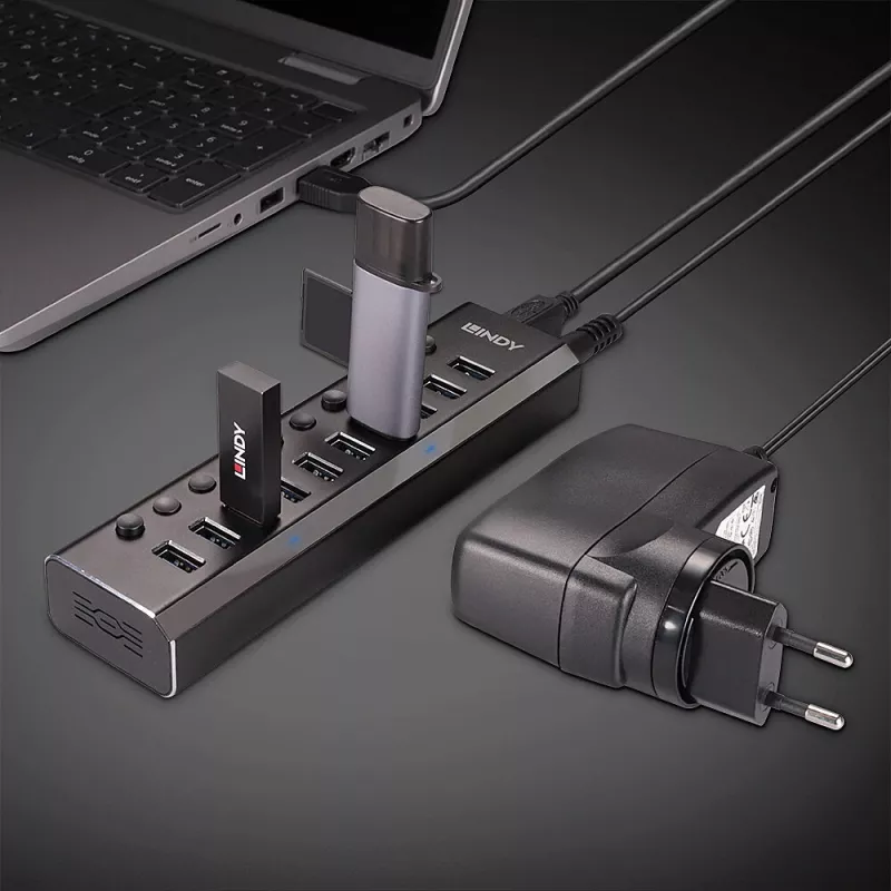 Hub USB 3.0 Lindy 10 portas com interruptores on/off