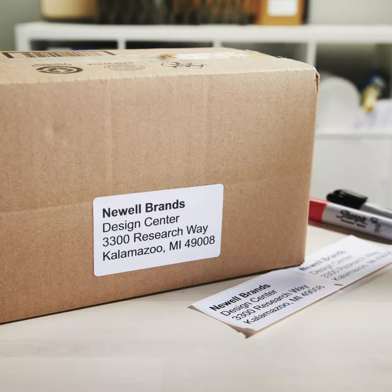 DYMO S0947420 LabelWriter etiquetas de envio grandes de alta capacidade, 59 x 102 mm, 2 rolos de 575 (1150 etiquetas), autoadesivas, brancas, para LabelWriter 4XL/5XL