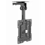 Suporte de teto para TV GEMBIRD CM-43ST-01, totalmente articulado, para televisores de 19–43 polegadas, aço, inclinação 0–90°, rotação ±45°, VESA 75×75–200×200, máx. 20 kg, preto