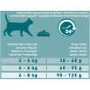 Purina ONE Adult ração seca para gatos com salmão, 9,75 kg