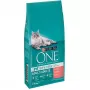 Purina ONE Adult ração seca para gatos com salmão, 9,75 kg