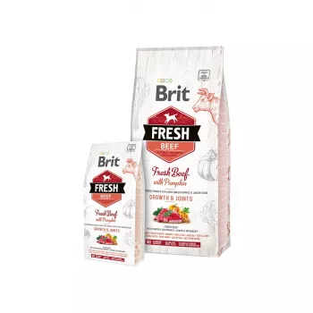 Brit Fresh Beef with Pumpkin Puppy Large Bones & Joints Ração para cães