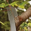 Catana de jardim Fiskars 1051236 aço inoxidável cabo laranja