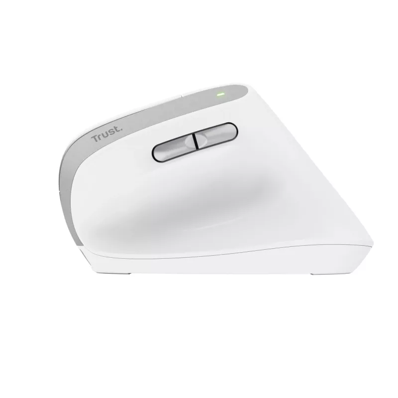 Trust Bayo II rato de escritório para destros RF sem fios ótico 2400 DPI