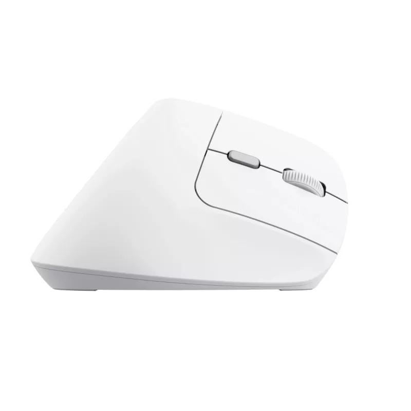 Trust Bayo II rato de escritório para destros RF sem fios ótico 2400 DPI