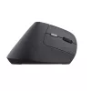 Rato Trust Bayo II médico destro RF Wireless ótico 2400 DPI