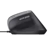 Rato Trust Bayo II destro USB Type-A 2400 DPI