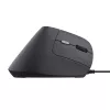 Rato Trust Bayo II destro USB Type-A 2400 DPI