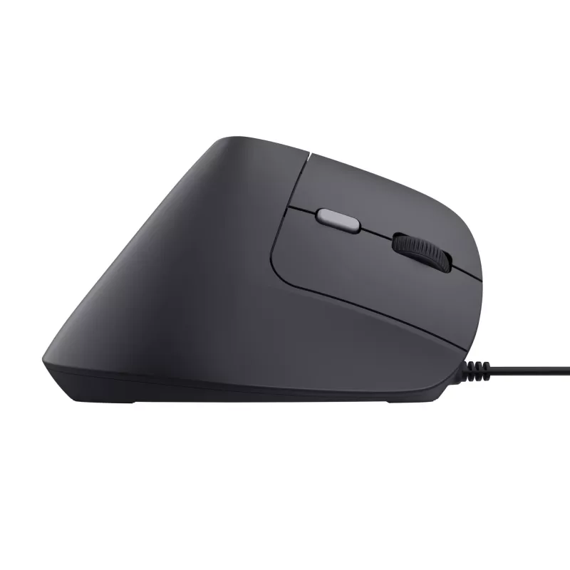 Rato Trust Bayo II destro USB Type-A 2400 DPI