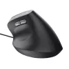 Rato Trust Bayo II destro USB Type-A 2400 DPI