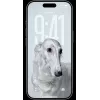Smartphone Apple iPhone 17 Pro 6,3