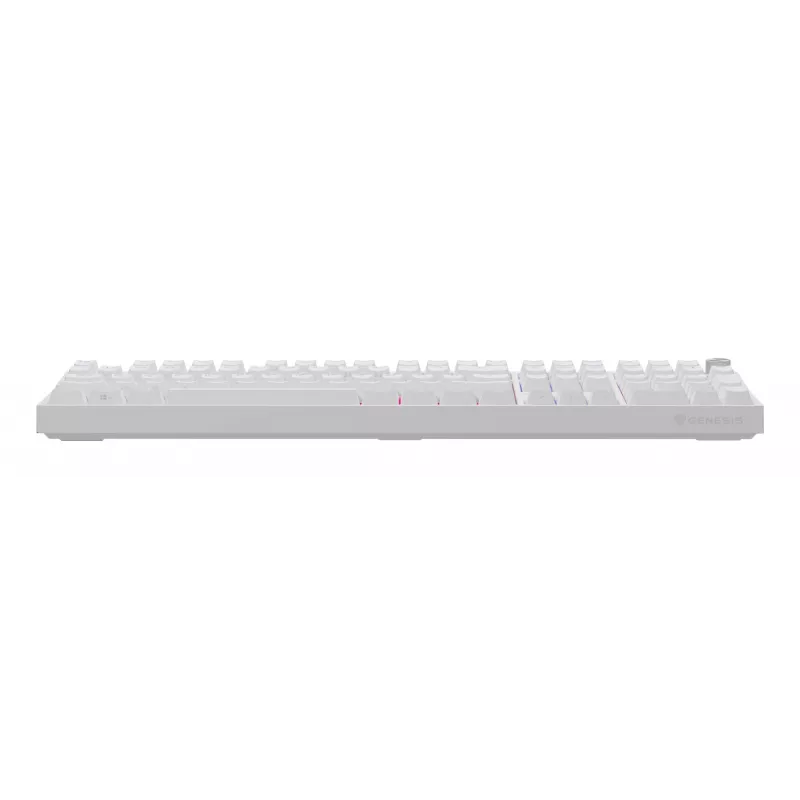 Teclado GENESIS NKG-2300 universal USB QWERTY inglês branco