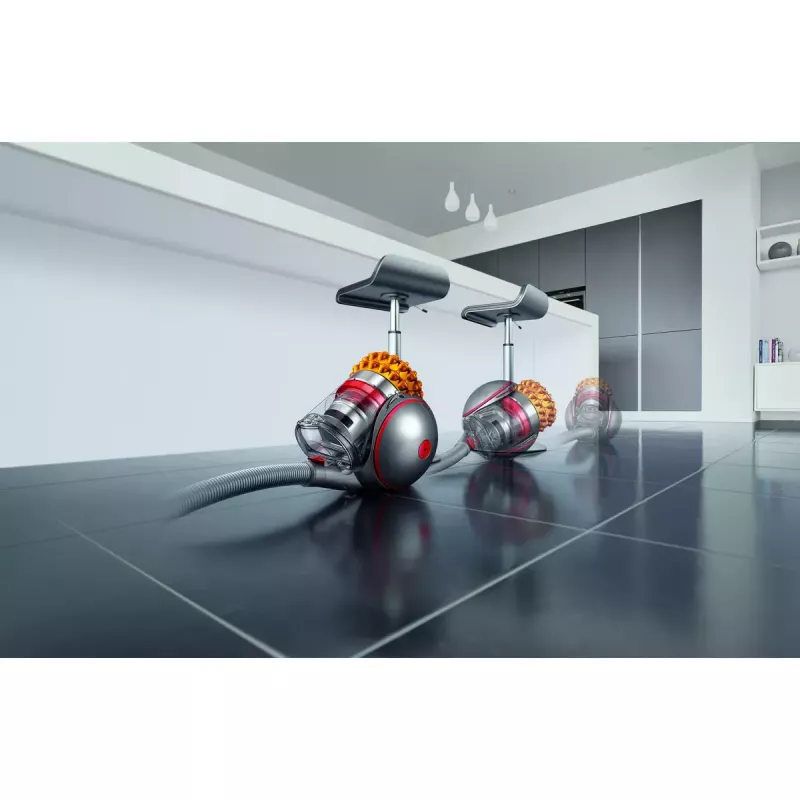 Dyson Cinetic Big Ball Multi Floor 2 230278-01 aspirador de trenó, 700 W, 0,8 l, sem saco, prateado