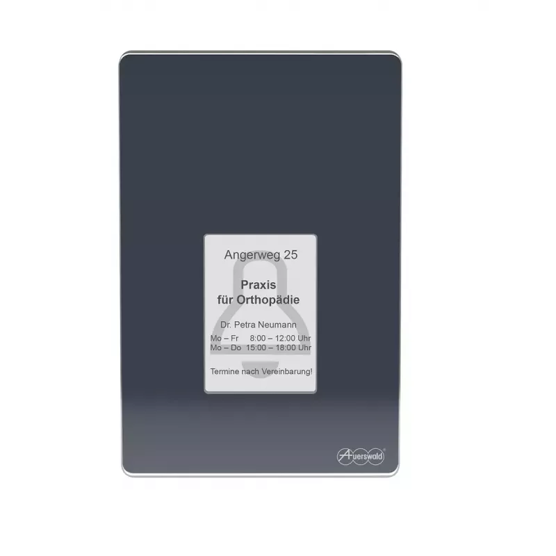 Intercomunicador de porta Auerswald TFS-Dialog 400, antracite