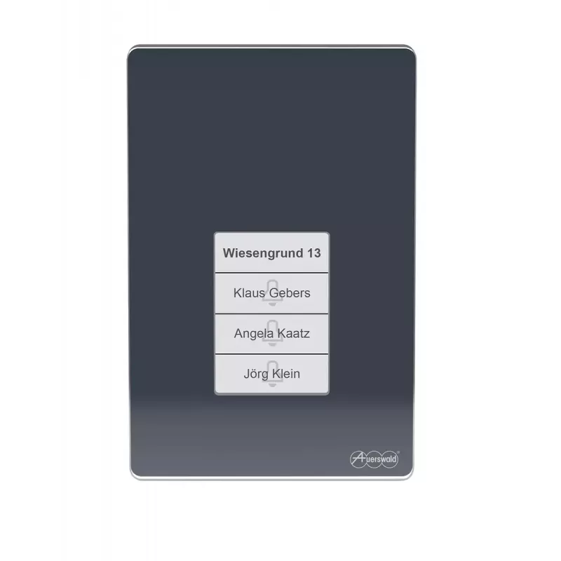 Intercomunicador de porta Auerswald TFS-Dialog 400, antracite