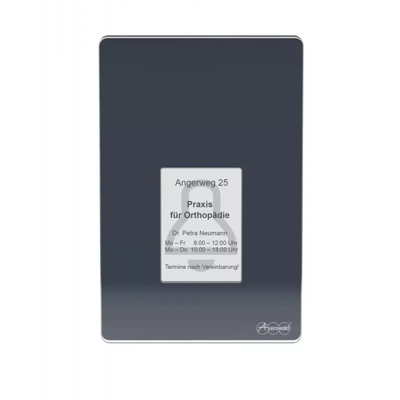 Intercomunicador de porta Auerswald TFS-Dialog 400, antracite