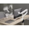 Suporte de secretária para monitor Equip Premium 17-35 polegadas, branco