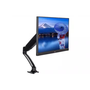 iiyama DS3001C-B1 suporte de monitor / base 68,6 cm (27 polegadas) secretária preto