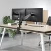 Manhattan suporte duplo de secretária para TV e monitores (mola a gás com movimento total), para ecrãs de 10 polegadas a 27 polegadas, montagem por aperto ou por bucha, compatibilidade VESA: 75x75 e 100x100 mm - verifique as dimensões dos quatro orifícios de fixação na parte traseira do ecrã para garantir que encaixa, máx. 8 kg (cada)