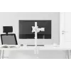 Neomounts NM-D135WHITE Suporte de monitor 10-30 polegadas, grampo/passagem de mesa, 8 kg, 25,4 cm (10 polegadas), 76,2 cm (30 polegadas), 100 x 100 mm, Branco