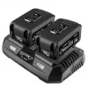 Graphite 58GE134 carregador de baterias