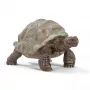 Figura, Schleich, WILD LIFE Tartaruga gigante