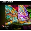 Hisense 50E77Q PRO Smart TV QLED 127 cm (50 polegadas), 4K Ultra HD, 144 Hz, triplo sintonizador, Dolby Vision, HDR10+, Wi-Fi, preto