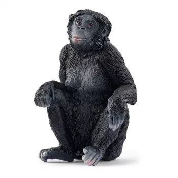 Figura Schleich WILD LIFE Bonobo Fêmea 14875 Preto 3 anos