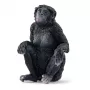 Figura Schleich WILD LIFE Bonobo Fêmea 14875 Preto 3 anos