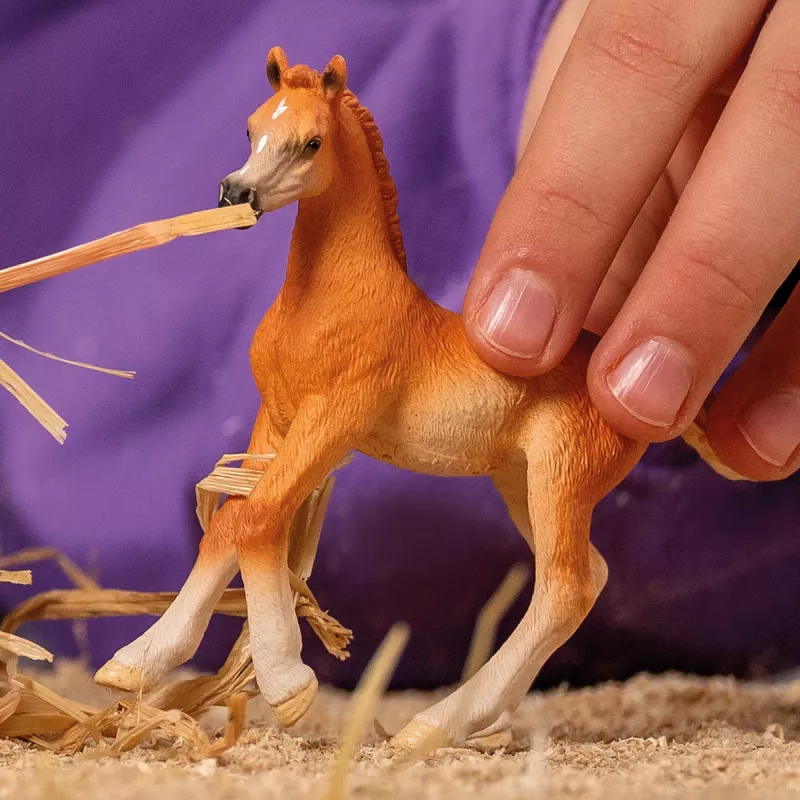 Figura de Cavalo Schleich Potro Árabe Modelo 13984, castanho, idade recomendada 5+