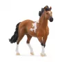 schleich HORSE CLUB Garanhão Mangalarga Marchador, 5 anos, Cavalos, Preto, Castanho, Branco, Plástico