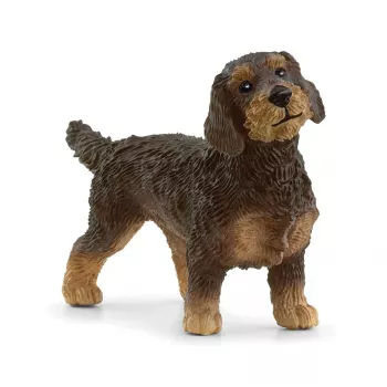 schleich FARM WORLD Teckel de Pelo Duro