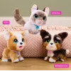 FurReal Poop-a-lots Corgi, Menino/Menina, 4 ano(s), com Som