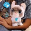 FurReal Wag-a-lots Kitty, Menino/Menina, 4 ano(s), com Som FurReal Wag-a-lots Kitty. Cor do produto: Multicolor