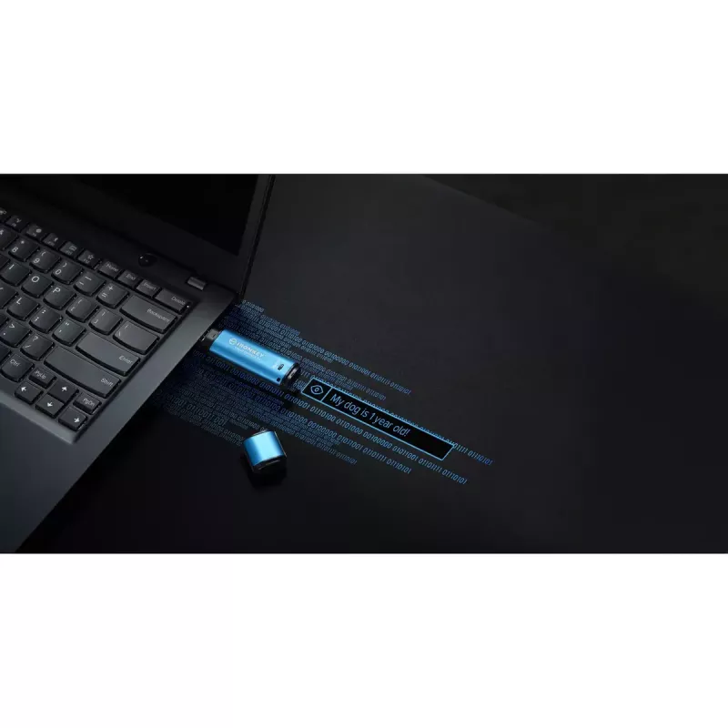 Pen drive USB Kingston 256GB USB Type-A IronKey Vault Privacy 50