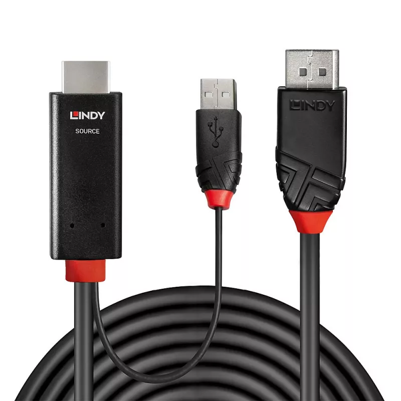 Cabo Lindy 2 m HDMI para DisplayPort HDMI USB Type-A DisplayPort