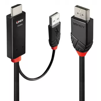 Cabo Lindy 1 m HDMI para DisplayPort HDMI USB Type-A DisplayPort