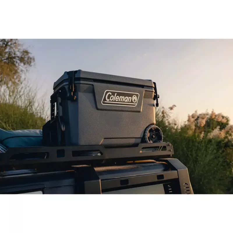 Arca frigorífica Coleman Convoy 65 QT 29 L poliuretano cinzento