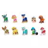 PAW Patrol, 10.º aniversário, All Paws On Deck conjunto de presente com 10 figuras de ação colecionáveis, brinquedo para crianças a partir dos 3 anos