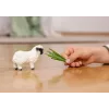 schleich Ovelha de nariz preto do Valais, 3 ano(s), quinta, animais da quinta / brinquedo de quinta, preto, branco, plástico