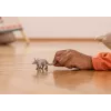 Schleich WILD LIFE oricteropo cinzento 14863S brinquedo, recomendado a partir dos 3 anos