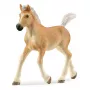 schleich HORSE CLUB potro Haflinger, 5 anos, cavalos, bege, castanho, plástico