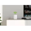 Devolo WiFi 6 Repeater 5400 repetidor de rede 5400 Mbit/s dual-band
