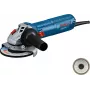 Bosch GWS 12-125 Professional 06013A6104 rebarbadora, 125 mm, 1200 W, azul