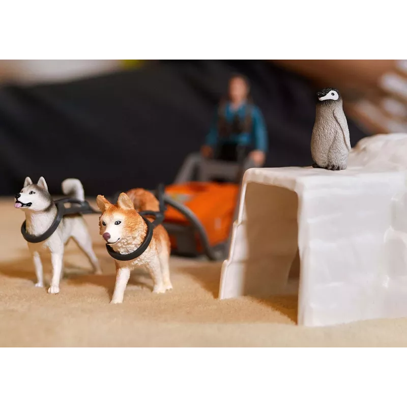 Zoo Schleich WILD LIFE Expedição à Antártida Multicolorido 42558