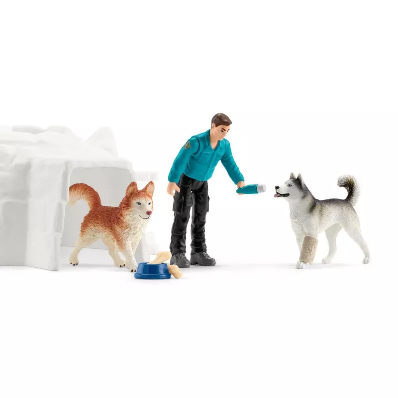 Zoo Schleich WILD LIFE Expedição à Antártida Multicolorido 42558