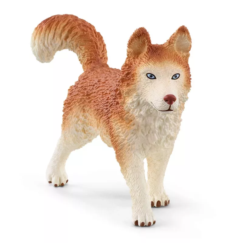 Zoo Schleich WILD LIFE Expedição à Antártida Multicolorido 42558
