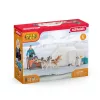 Zoo Schleich WILD LIFE Expedição à Antártida Multicolorido 42558